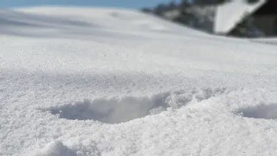 Specjalistyczna Praktyka Lekarska Małgorzata Prokop